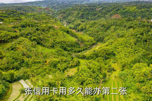 张信用卡用多久能办第二张