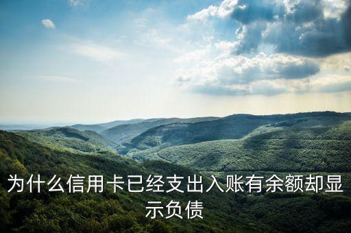 为什么信用卡已经支出入账有余额却显示负债