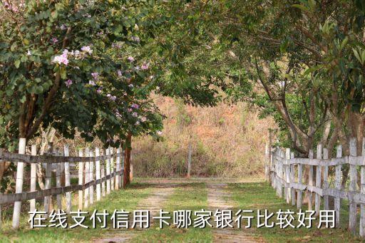 在线支付信用卡哪家银行比较好用