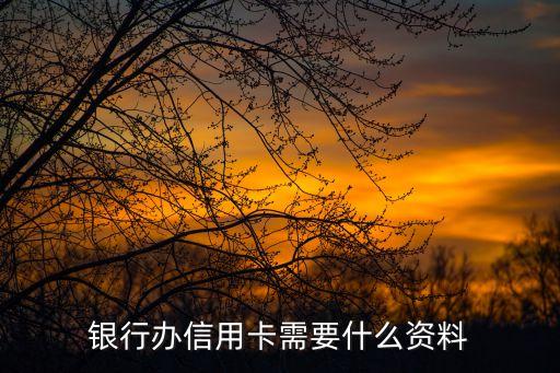 银行办信用卡需要什么资料