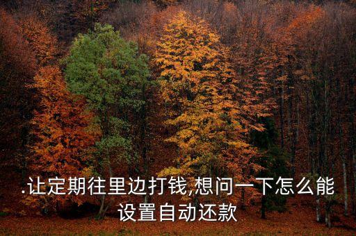 .让定期往里边打钱,想问一下怎么能设置自动还款