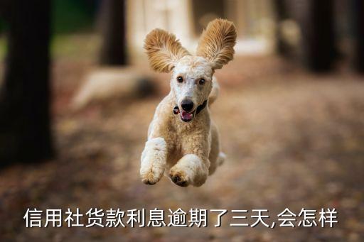 信用社货款利息逾期了三天,会怎样