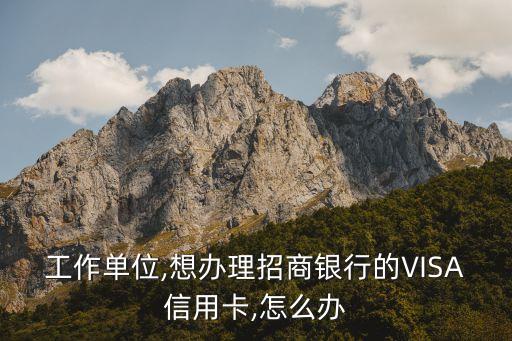工作单位,想办理招商银行的VISA信用卡,怎么办