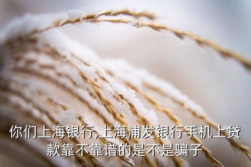 你们上海银行,上海浦发银行手机上贷款靠不靠谱的是不是骗子