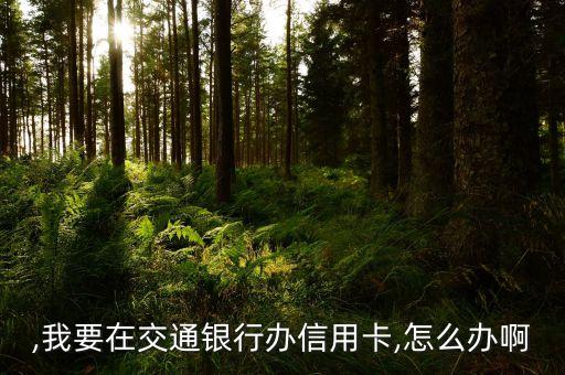 ,我要在交通银行办信用卡,怎么办啊