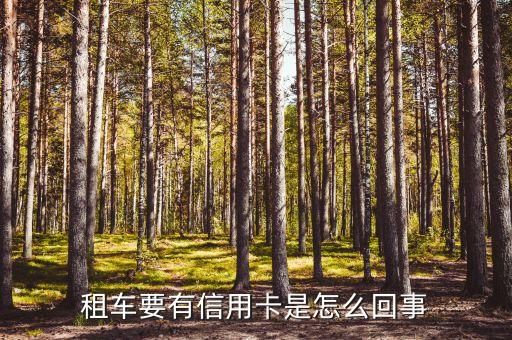 租车要有信用卡是怎么回事