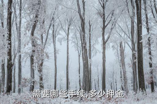 需要哪些手续,多少押金