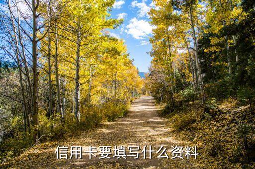 信用卡要填写什么资料
