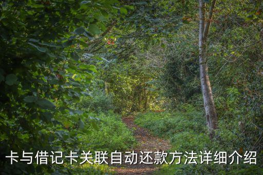 卡与借记卡关联自动还款方法详细介绍