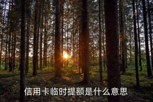 信用卡临时提额是什么意思