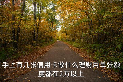 手上有几张信用卡做什么理财用单张额度都在2万以上
