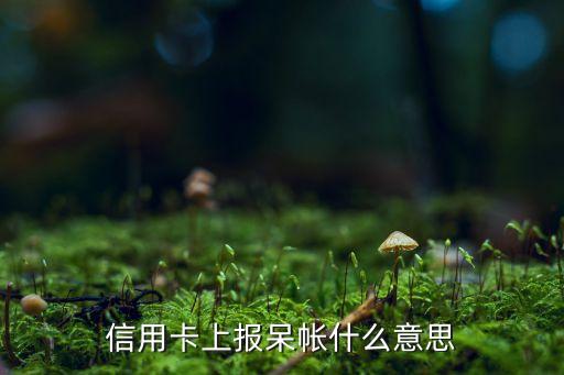信用卡上报呆帐什么意思