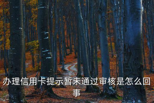办理信用卡提示暂未通过审核是怎么回事