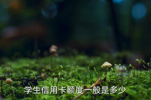 学生信用卡额度一般是多少