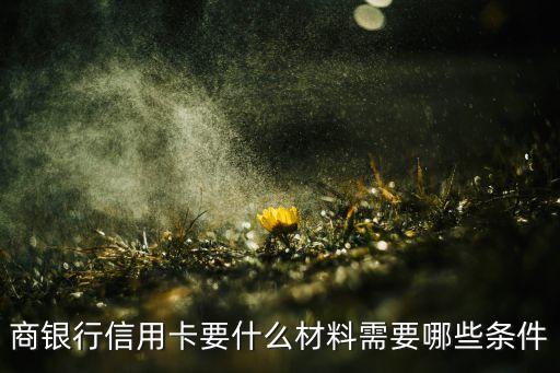 商银行信用卡要什么材料需要哪些条件