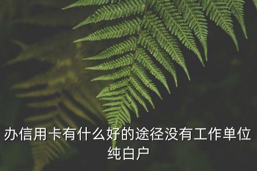通过什么渠道办信用卡便宜，我是大学生想办张信用卡能不能推荐个好办的有哪些方式