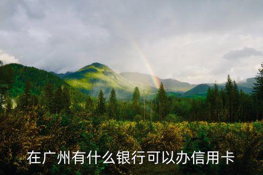 在广州有什么银行可以办信用卡