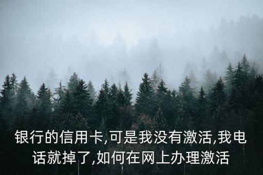 银行的信用卡,可是我没有激活,我电话就掉了,如何在网上办理激活