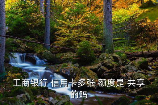 工商银行 信用卡多张 额度是 共享的吗