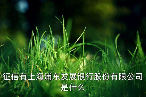 征信有上海浦东发展银行股份有限公司是什么