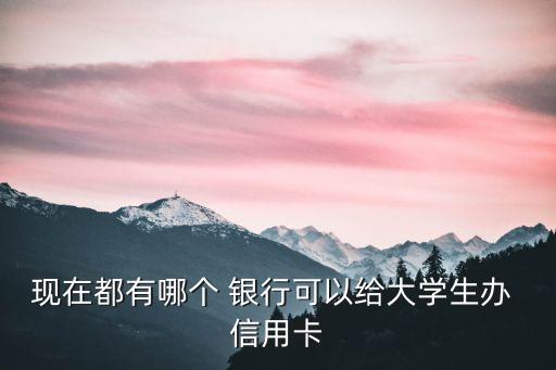 现在都有哪个 银行可以给大学生办 信用卡
