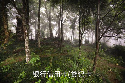 银行信用卡(贷记卡