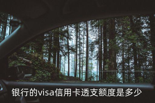 银行的visa信用卡透支额度是多少