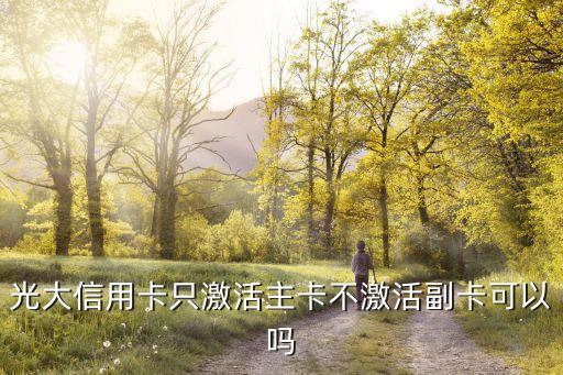光大信用卡只激活主卡不激活副卡可以吗