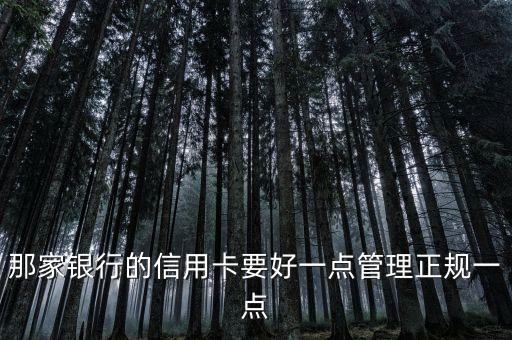 那家银行的信用卡要好一点管理正规一点