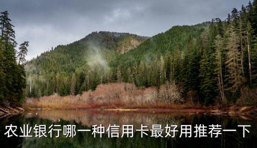 农业银行哪一种信用卡最好用推荐一下
