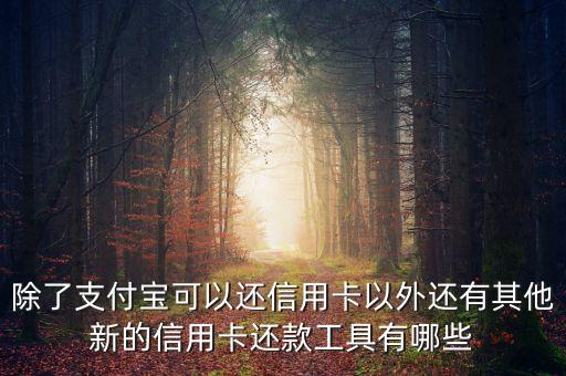除了支付宝可以还信用卡以外还有其他新的信用卡还款工具有哪些