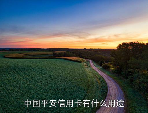 中国平安信用卡有什么用途