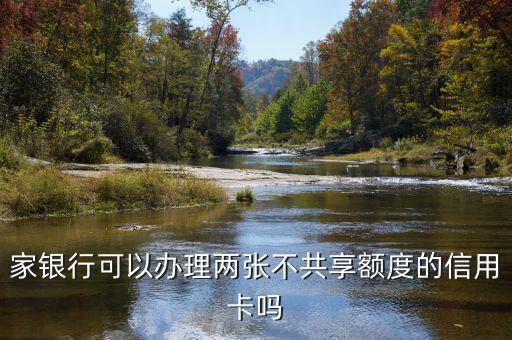 家银行可以办理两张不共享额度的信用卡吗