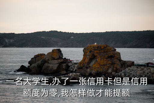 一名大学生,办了一张信用卡但是信用额度为零,我怎样做才能提额