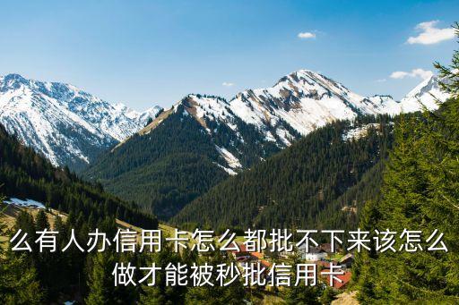 么有人办信用卡怎么都批不下来该怎么做才能被秒批信用卡