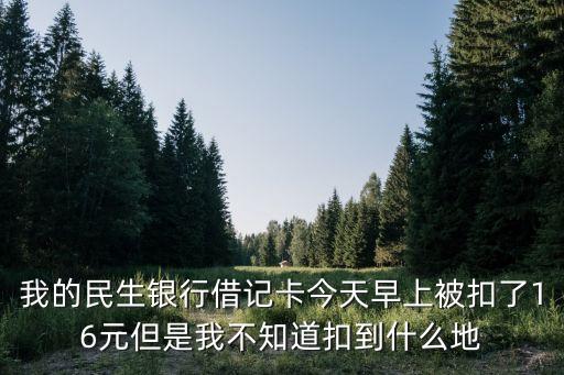 我的民生银行借记卡今天早上被扣了16元但是我不知道扣到什么地