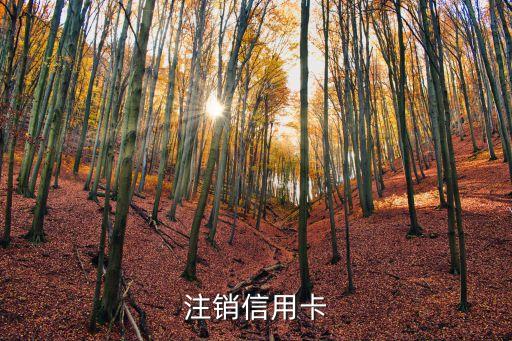 注销信用卡
