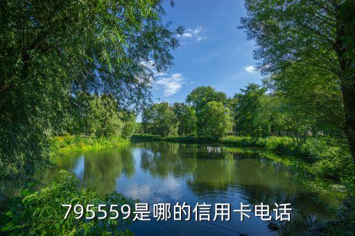 795559是哪的信用卡电话