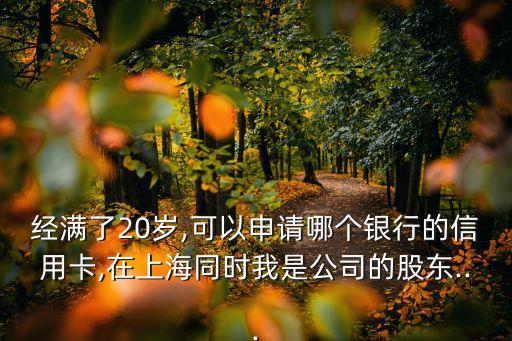 经满了20岁,可以申请哪个银行的信用卡,在上海同时我是公司的股东...
