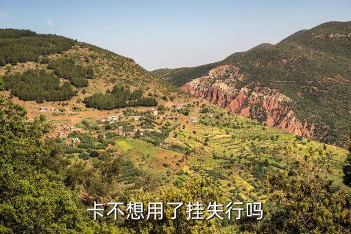 卡不想用了挂失行吗