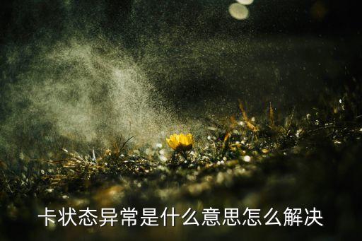 卡状态异常是什么意思怎么解决