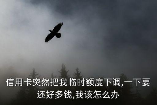 信用卡突然把我临时额度下调,一下要还好多钱,我该怎么办