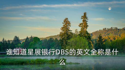 谁知道星展银行DBS的英文全称是什么