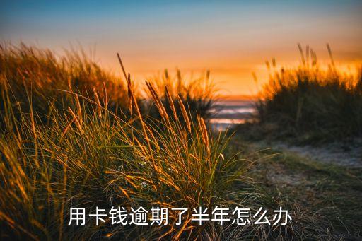 用卡钱逾期了半年怎么办