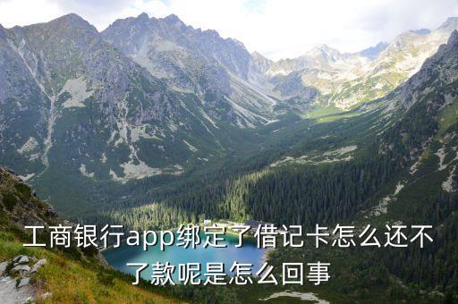 工商银行app绑定了借记卡怎么还不了款呢是怎么回事
