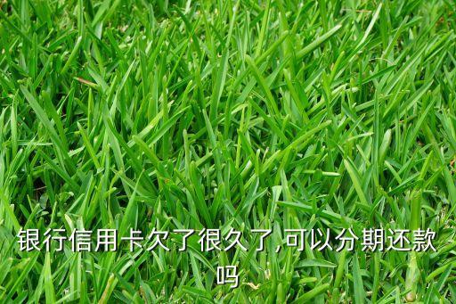 银行信用卡欠了很久了,可以分期还款吗