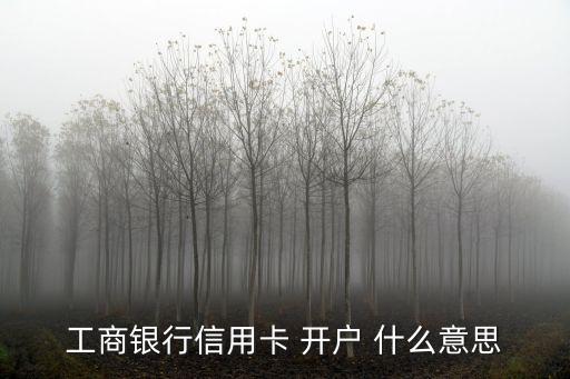 工商银行信用卡 开户 什么意思