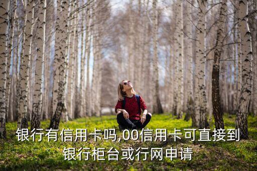 银行有信用卡吗,00信用卡可直接到银行柜台或行网申请