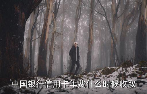 中国银行信用卡年费什么时候收取