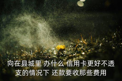 向在县城里 办什么 信用卡更好不透支的情况下 还款要收那些费用